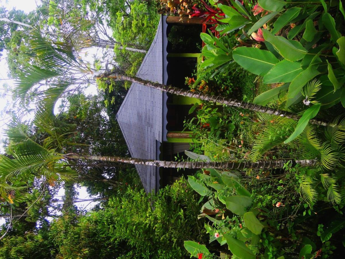 Villa Dos Casitas Ojochal Exterior foto
